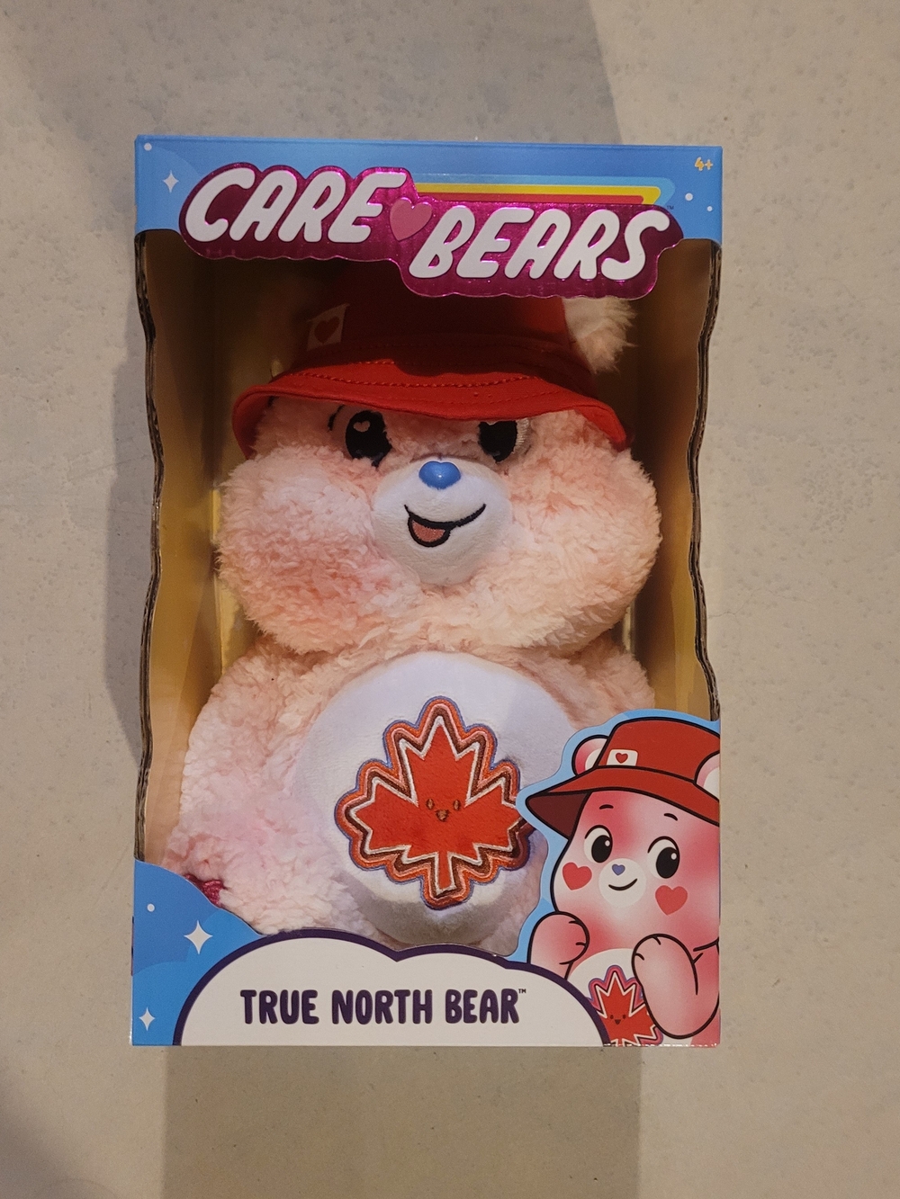 Care Bears True North Bear Canadian Exclusive Discontinued Plush NIB - Picture 2 of 5